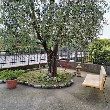 Residenza L'ulivo